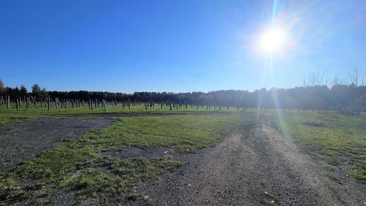 Auberge Du Vignoble Bromont Eksteriør billede